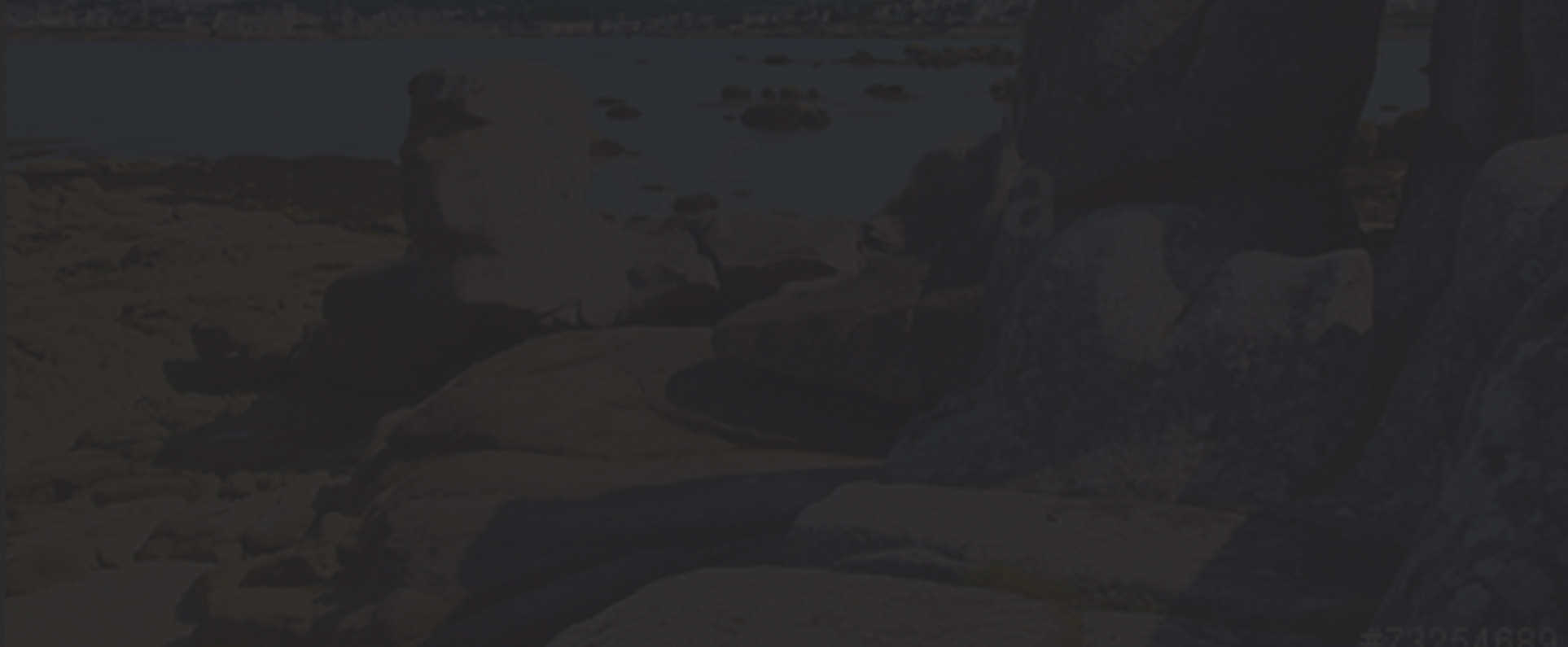 Fond Presentation A Concarneau Dans Le Finistere